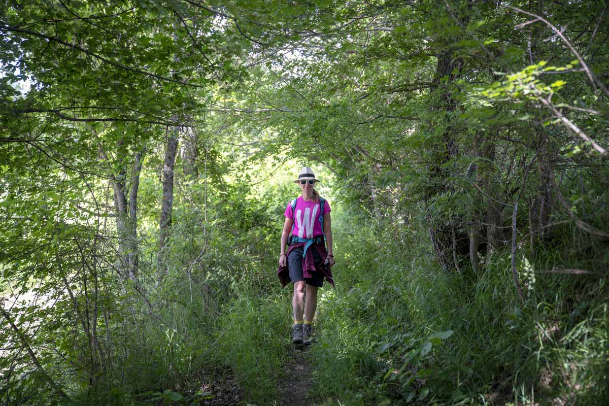 hiking forest emilia romagna