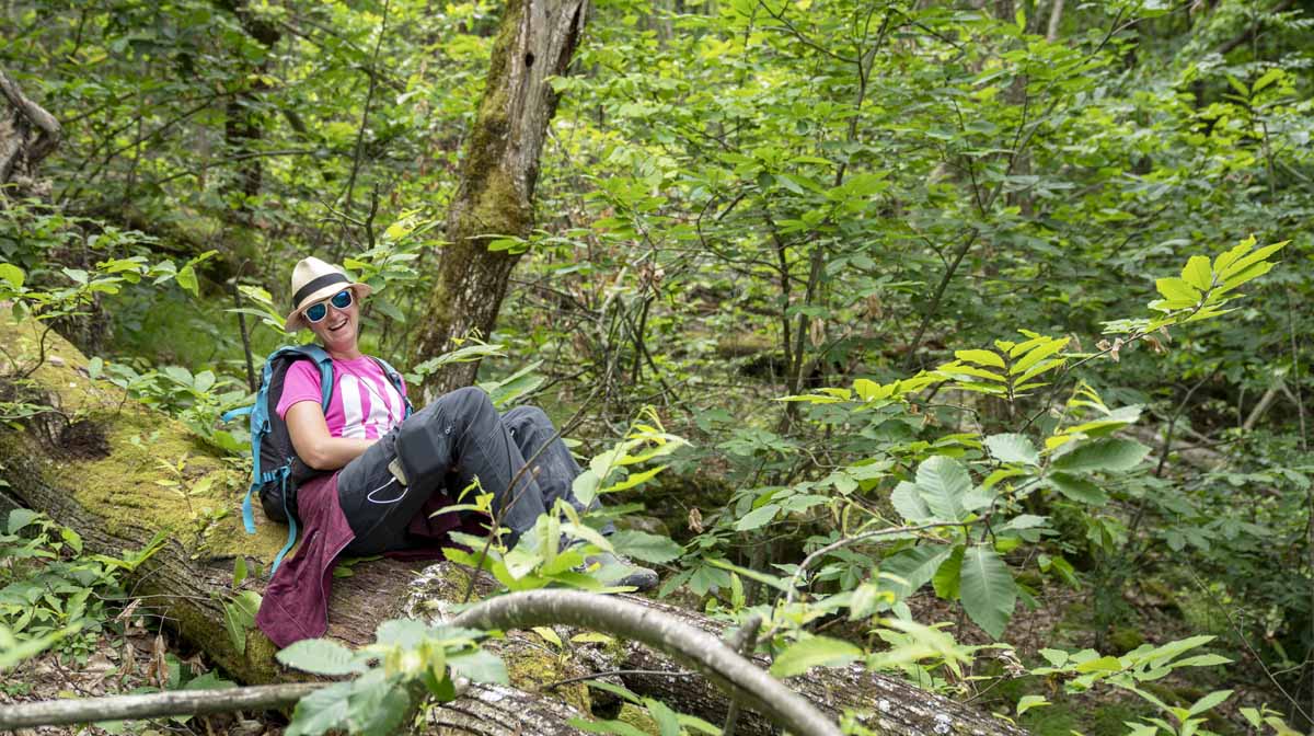 hiking via degli abati forest