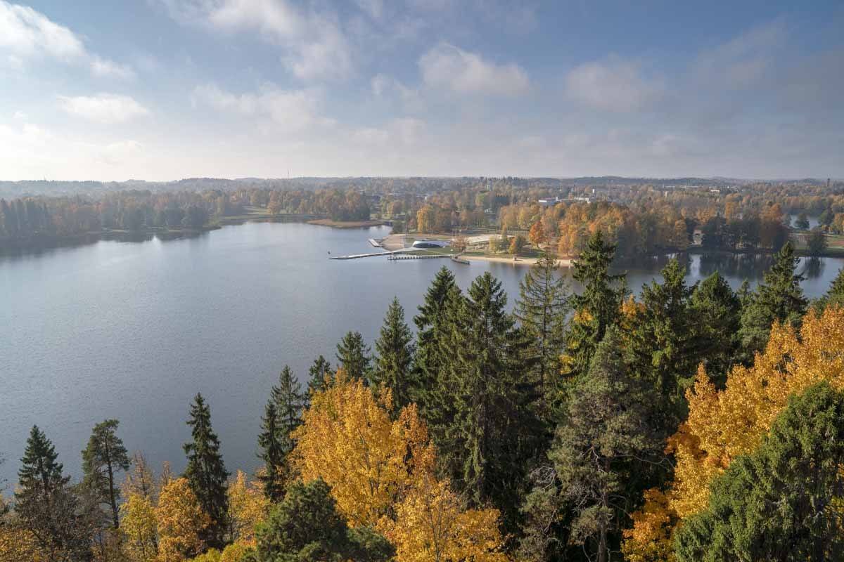 colourful trees lake aluksne