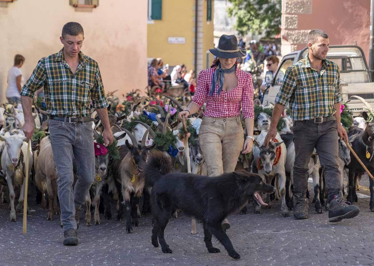 desmontegada goat procession