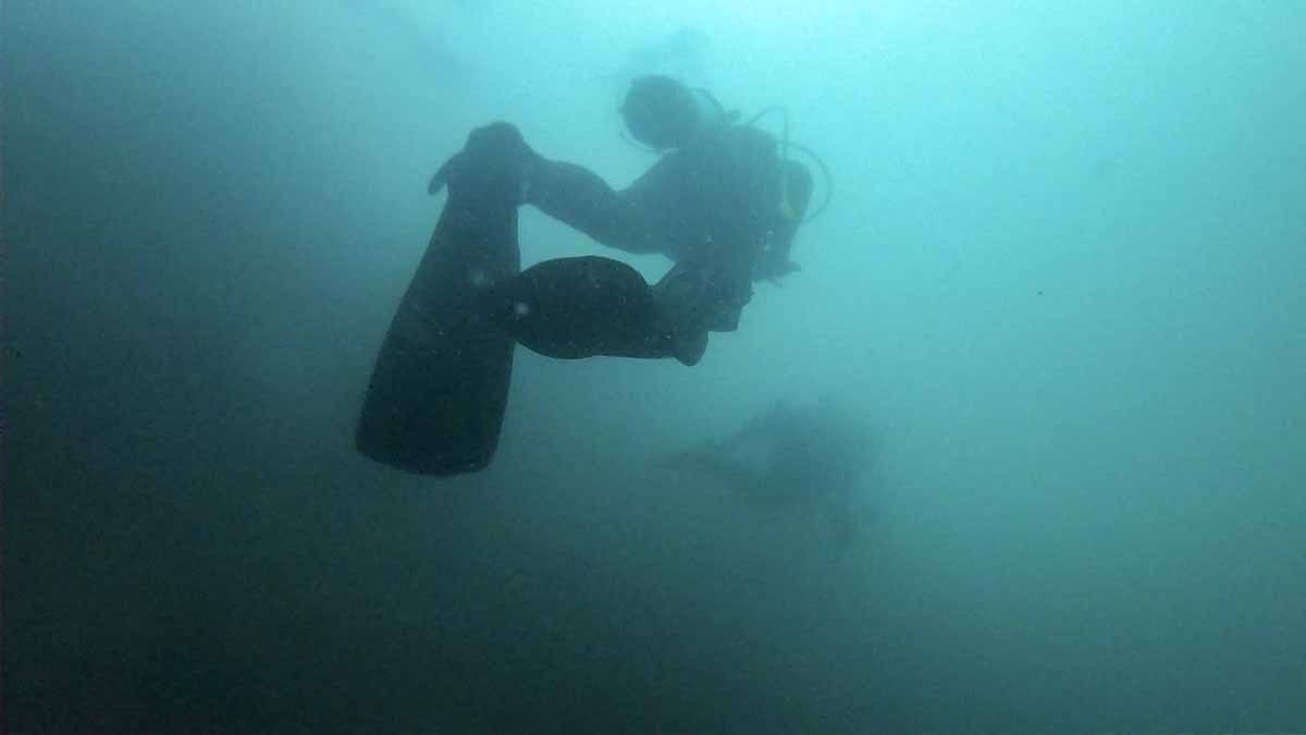 lake garda diver fins