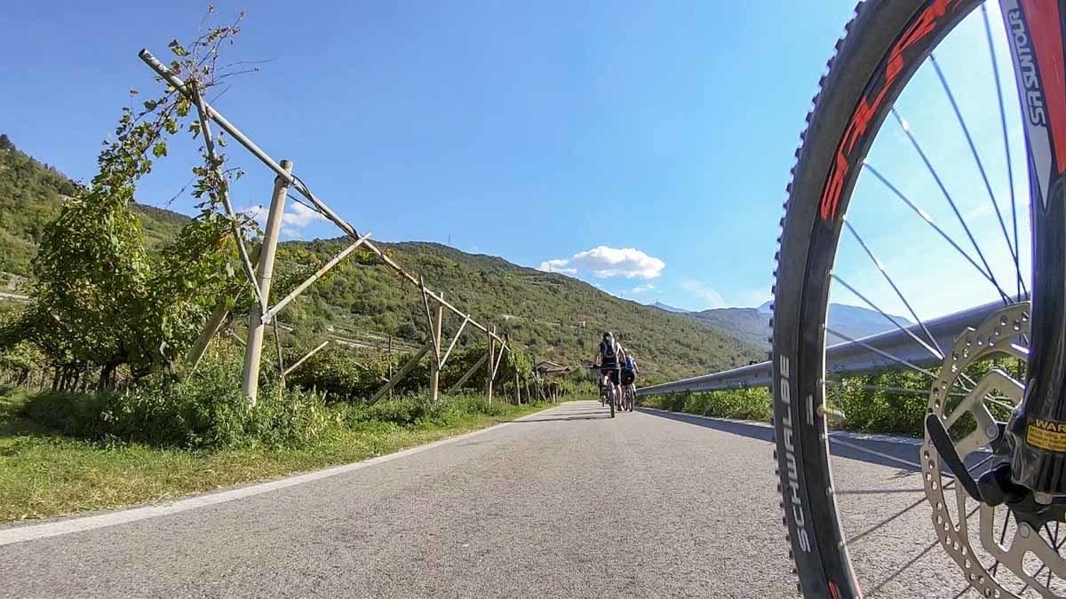 lake garda mountain bike wheel