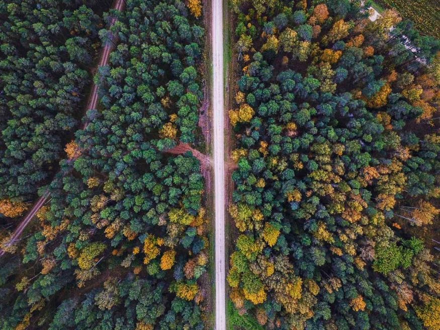 latvia autumn drone