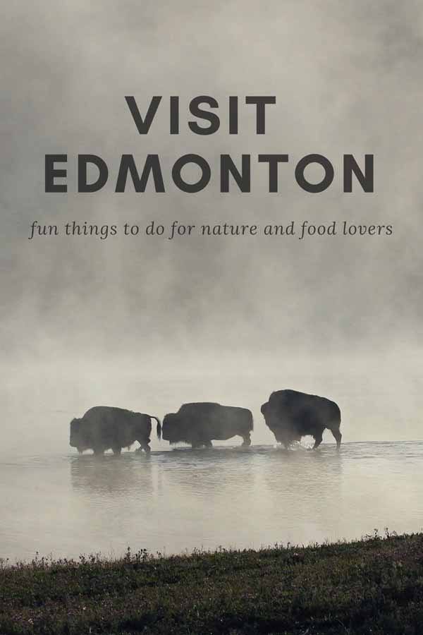 visit edmonton pin