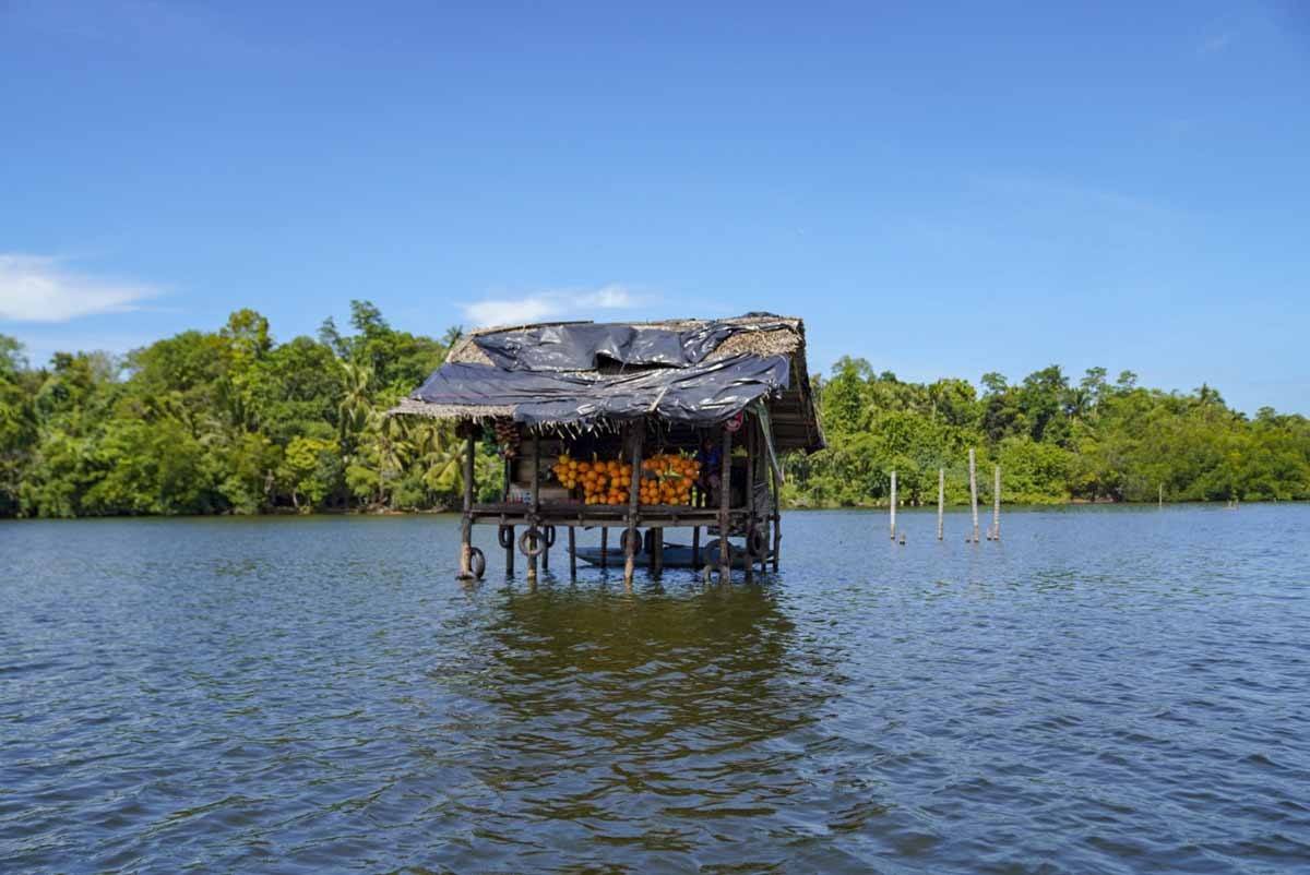 madu ganga river sri lanka