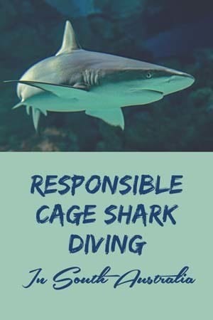 australia responsible shark cage diving