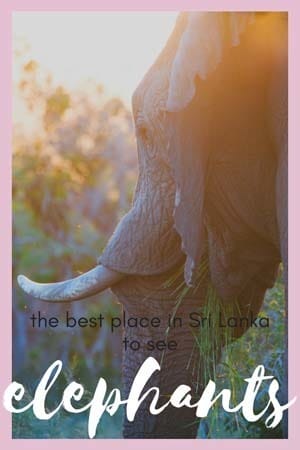 best place in sri lanka for elephants kaudulla