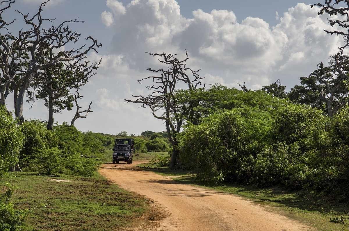 bundala national park sri lanka