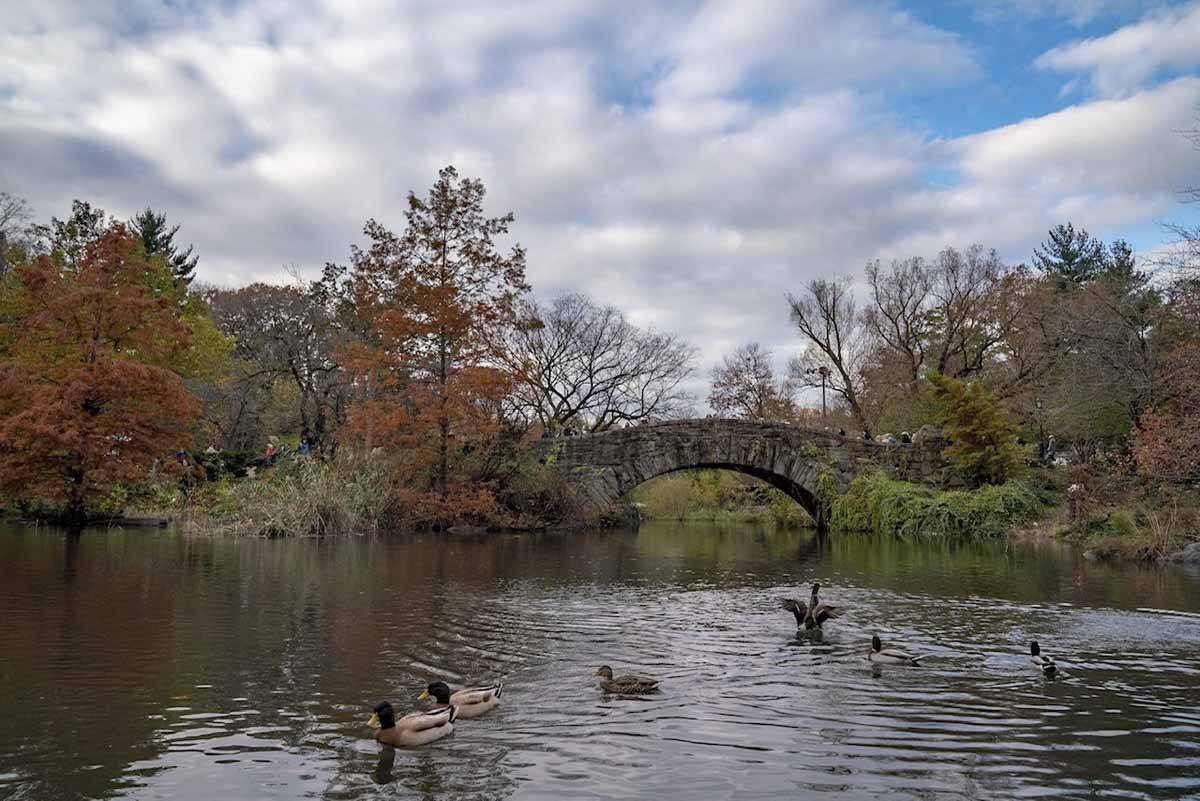 central park unusual NYC