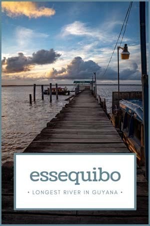 essequibo river day trip guyana