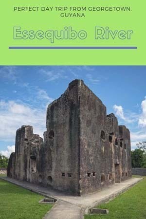 essequibo river guyana