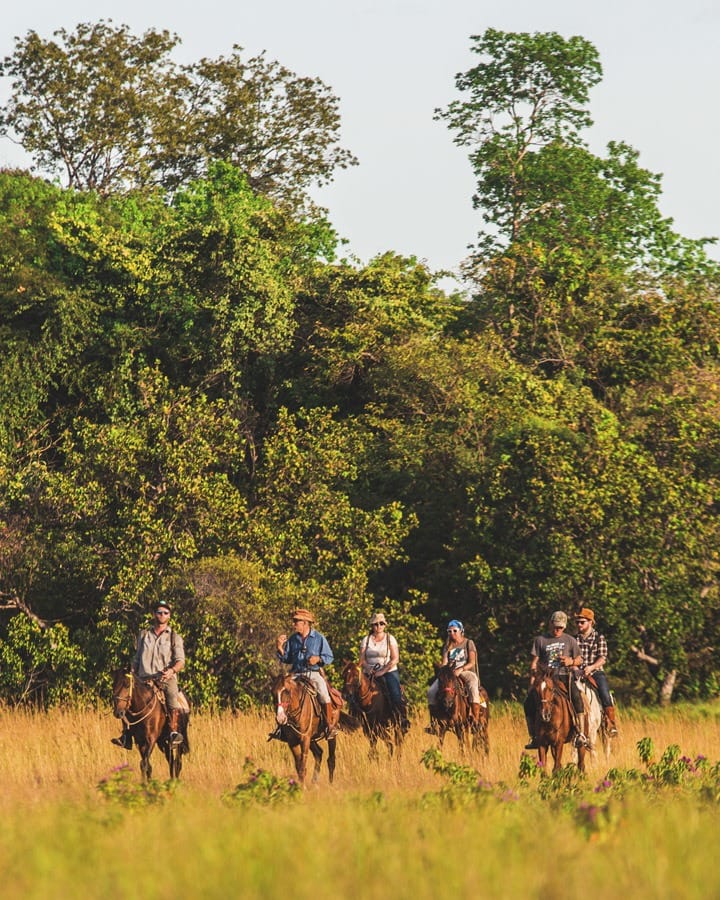 horse riding guyana group