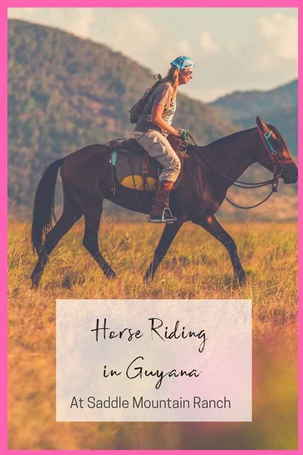 horse riding guyana pin 1
