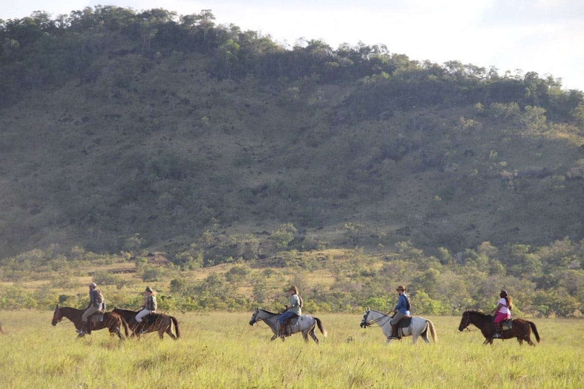 horse riding in guyana saddle mountain
