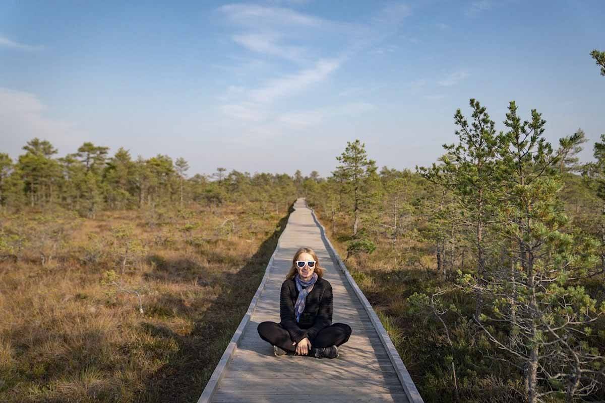 viru bog boardwalk