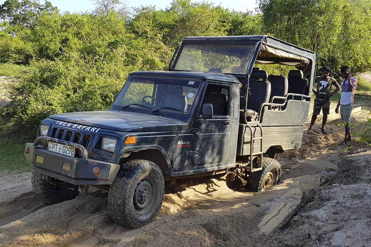 yala national park jeep