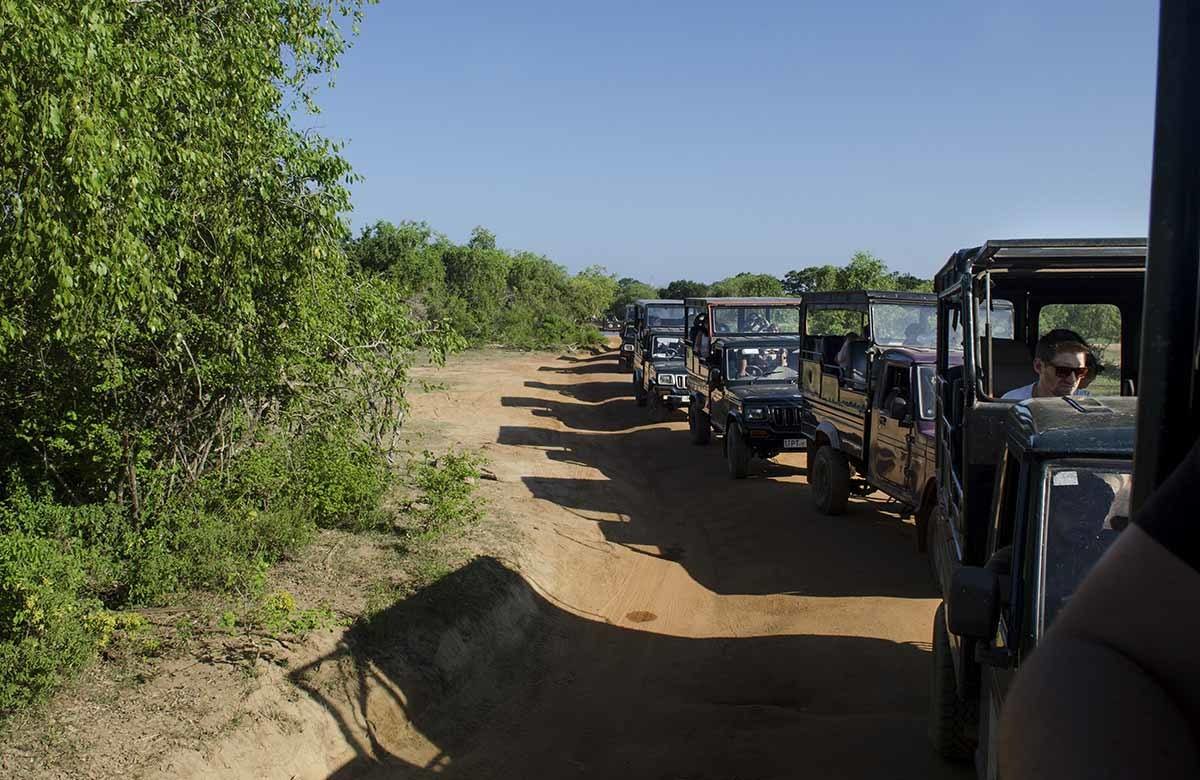 yala sri lanka jeeps