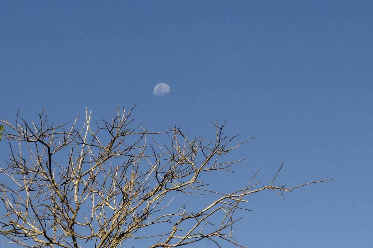 yala sri lanka moon