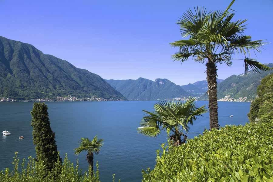 lake como palms