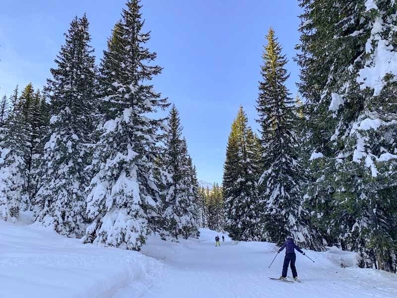 skiing madonna di campiglio