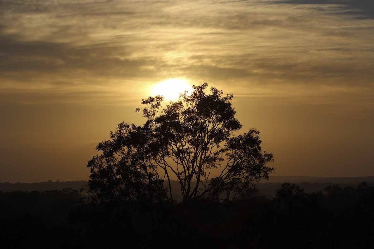 hunter-valley-sunset