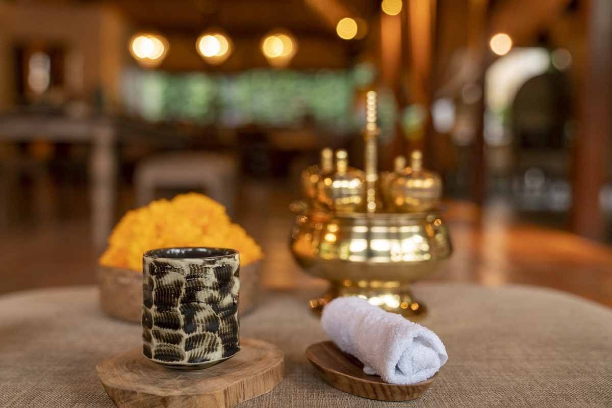 alaya dala spa ubud