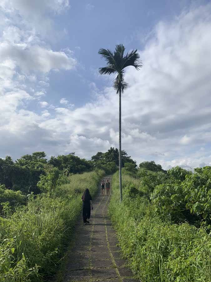 campuhan ridge walk ubud