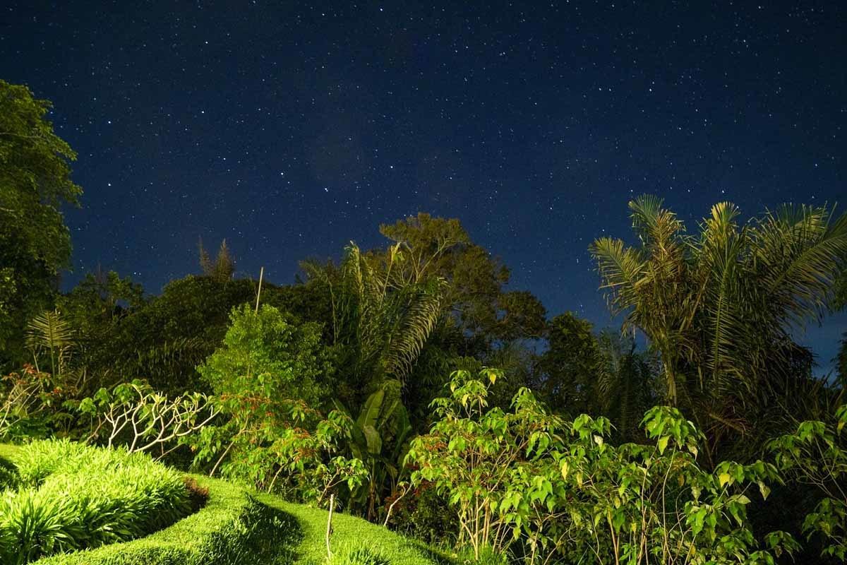 night rice terrace view bali