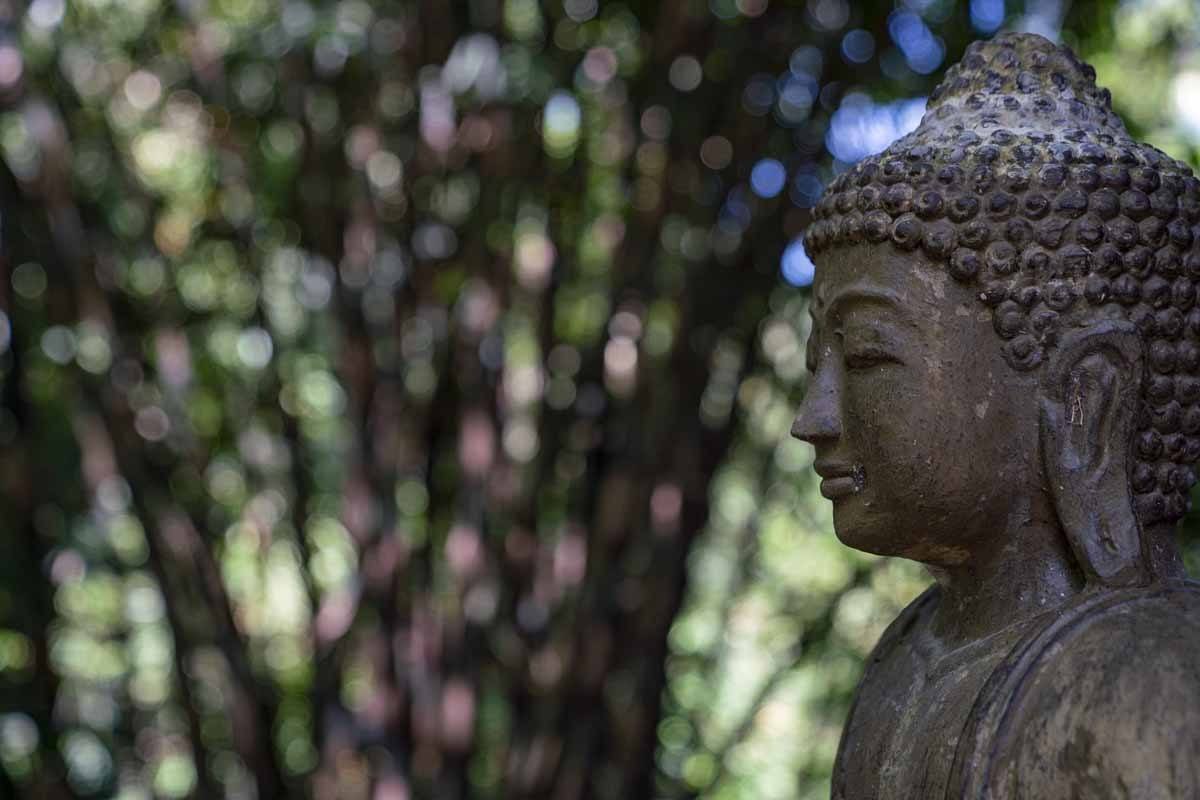 ubud things to do 3 days