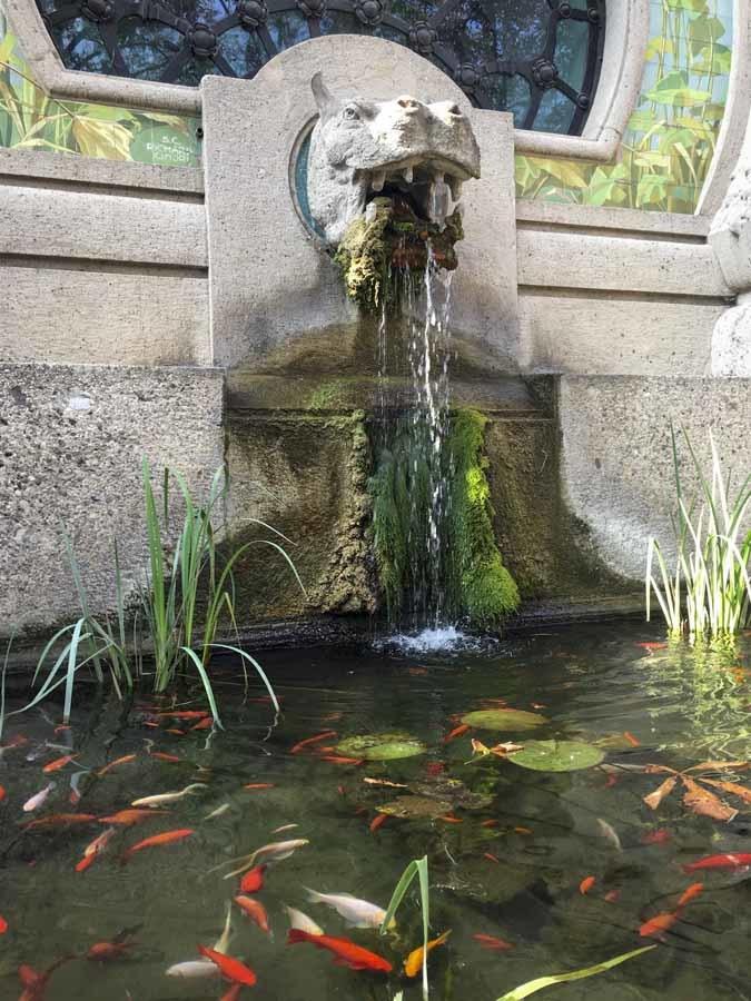 acquario milan goldfish