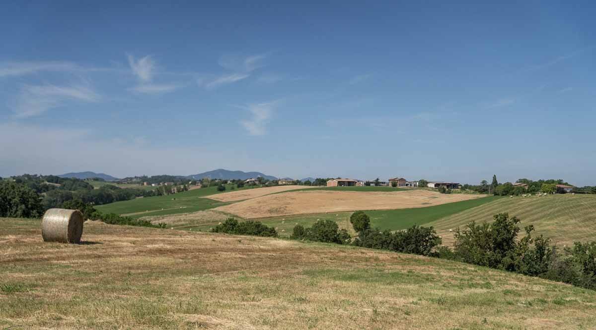 fidenza hills via francigena