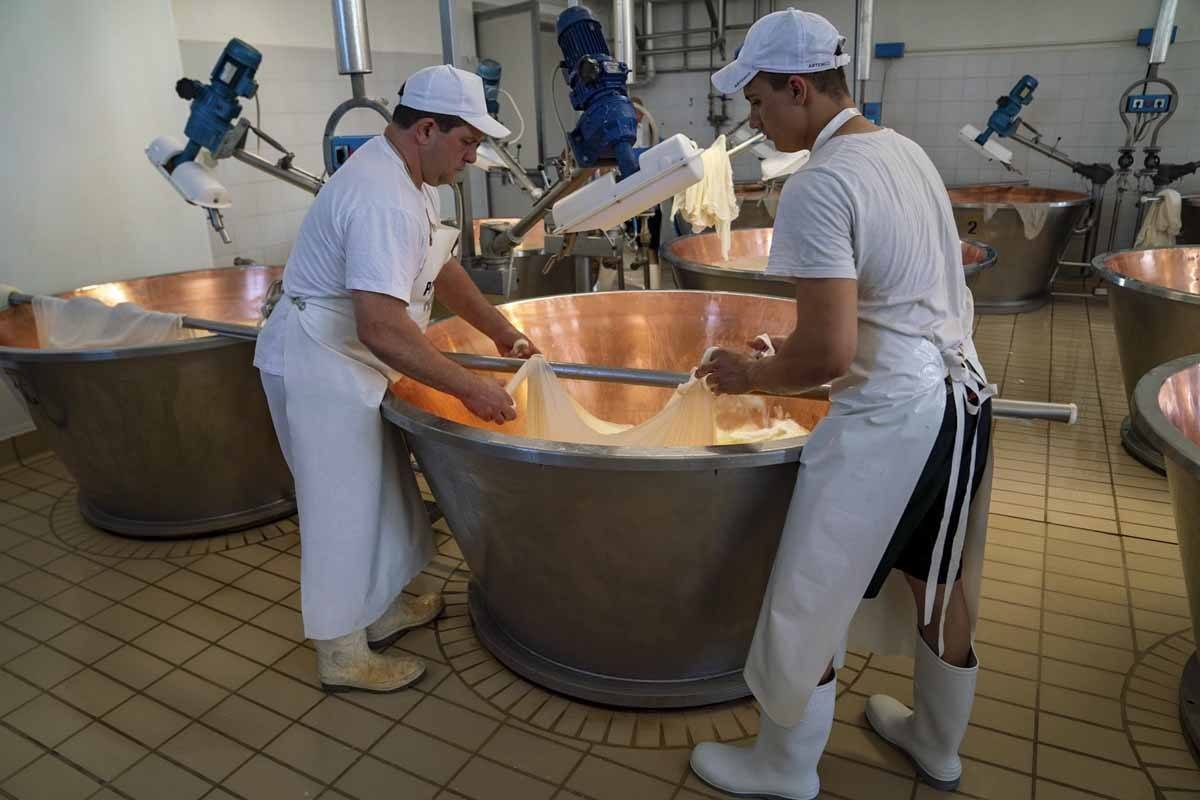 parmigiano reggiano caseificio coduro