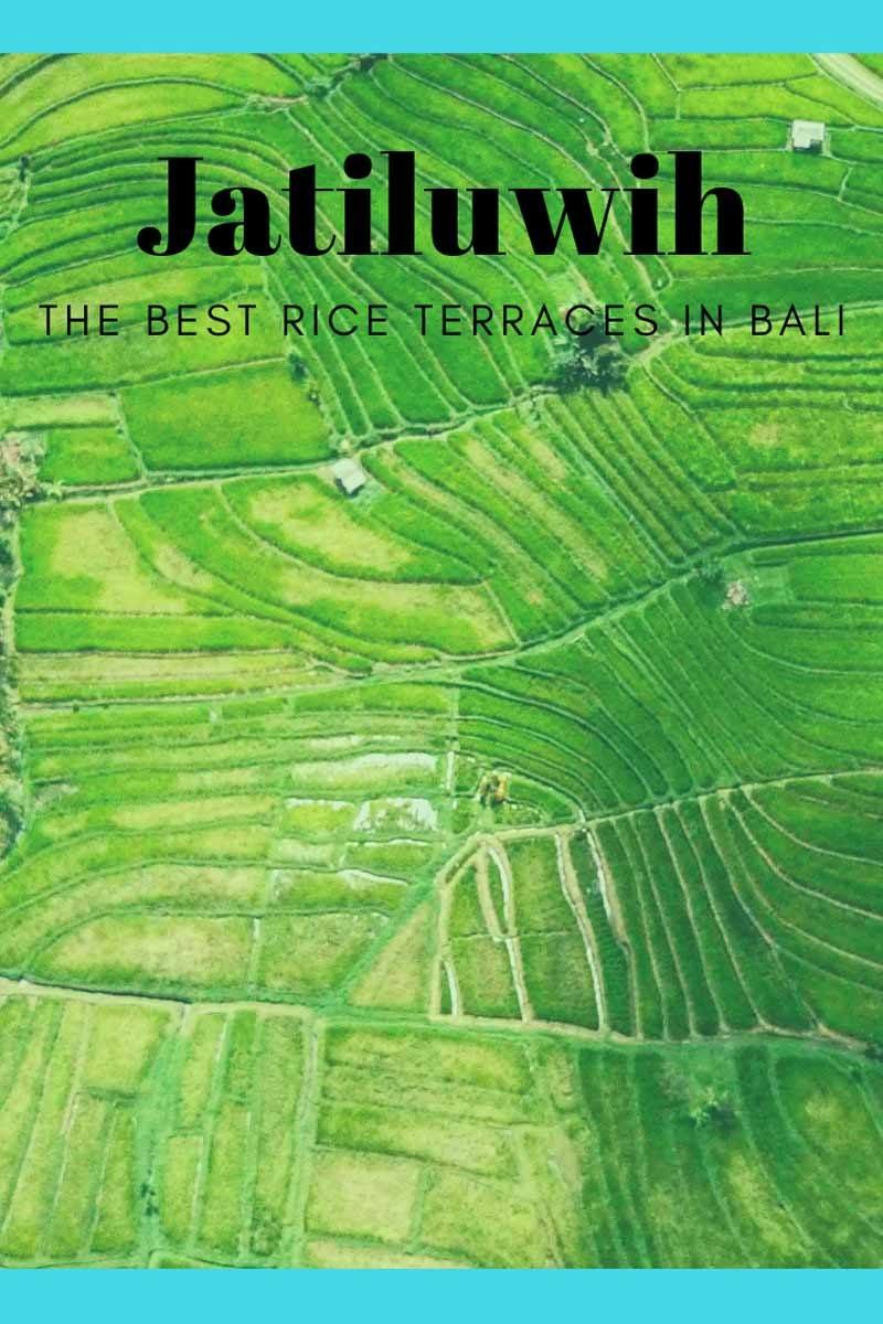 jatiluwih rice terraces pin 1