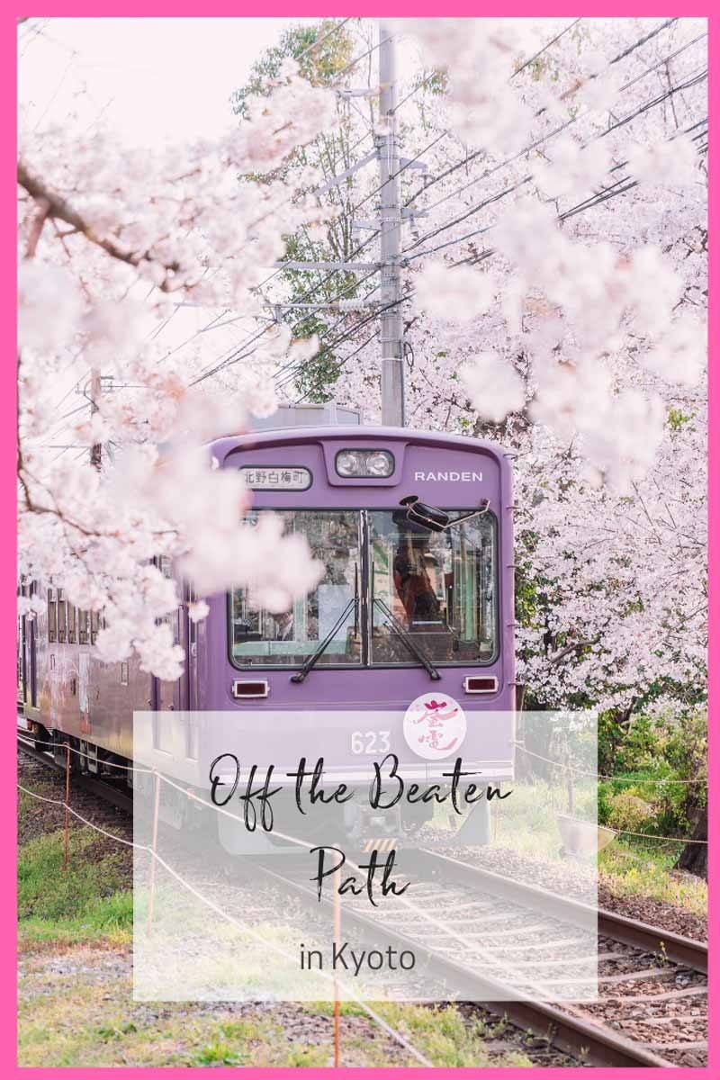 off the beaten path kyoto pin flowers