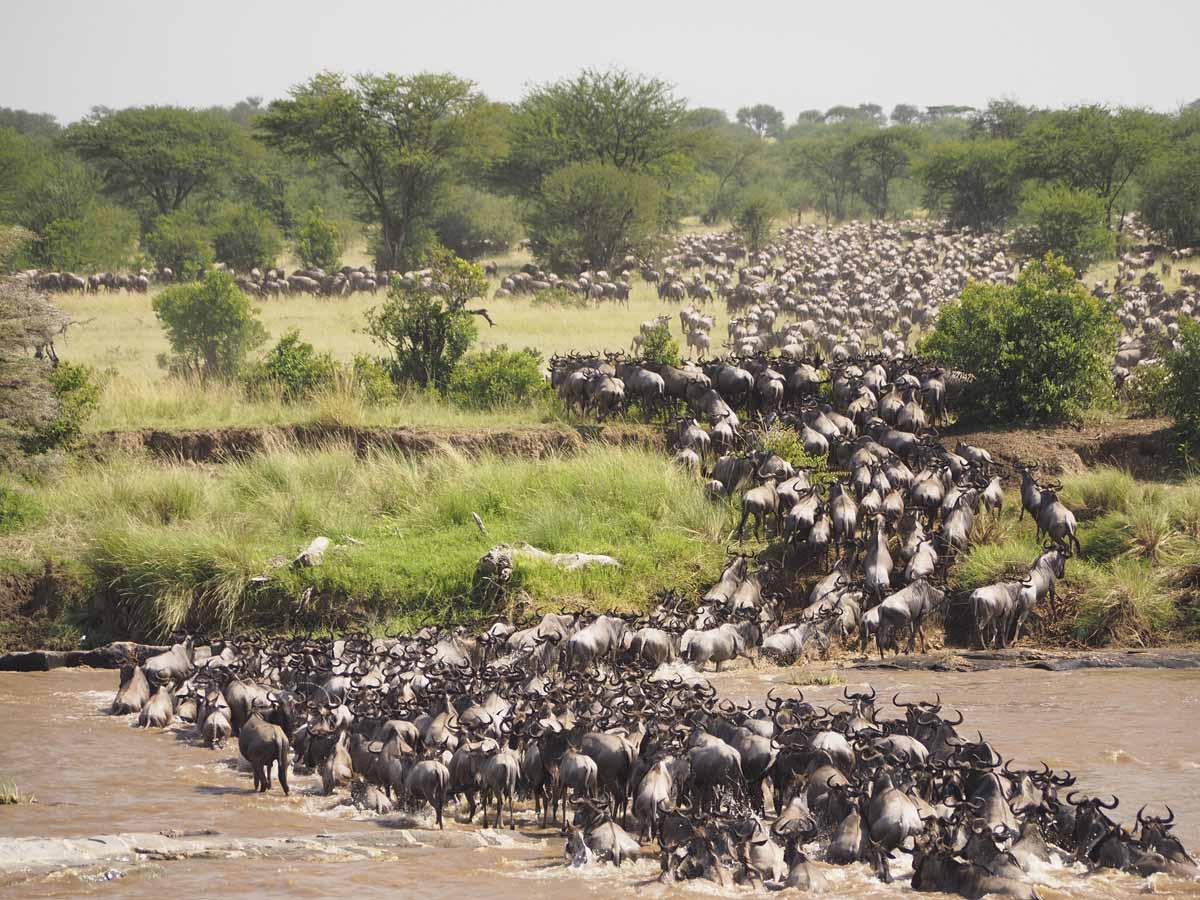 places to visit in kenya masai mara