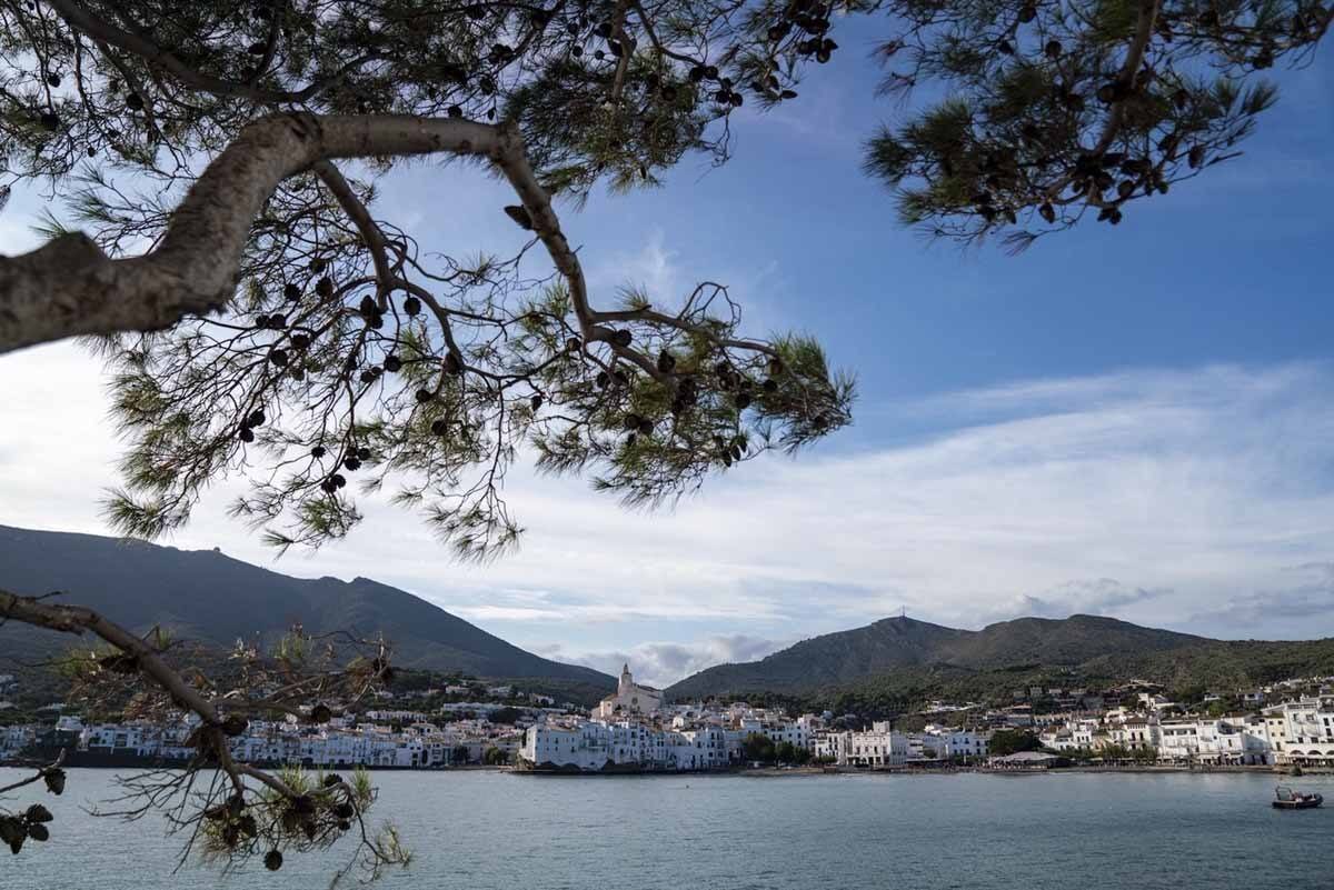 cadaques view trees