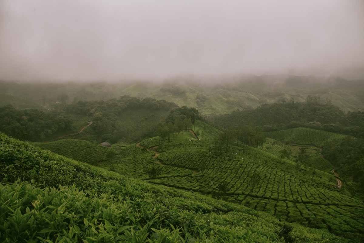 kerala hills munnar