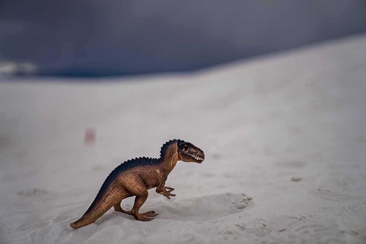 dinosaur white sands new mexico