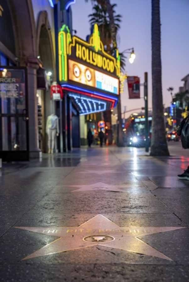 hollywood star