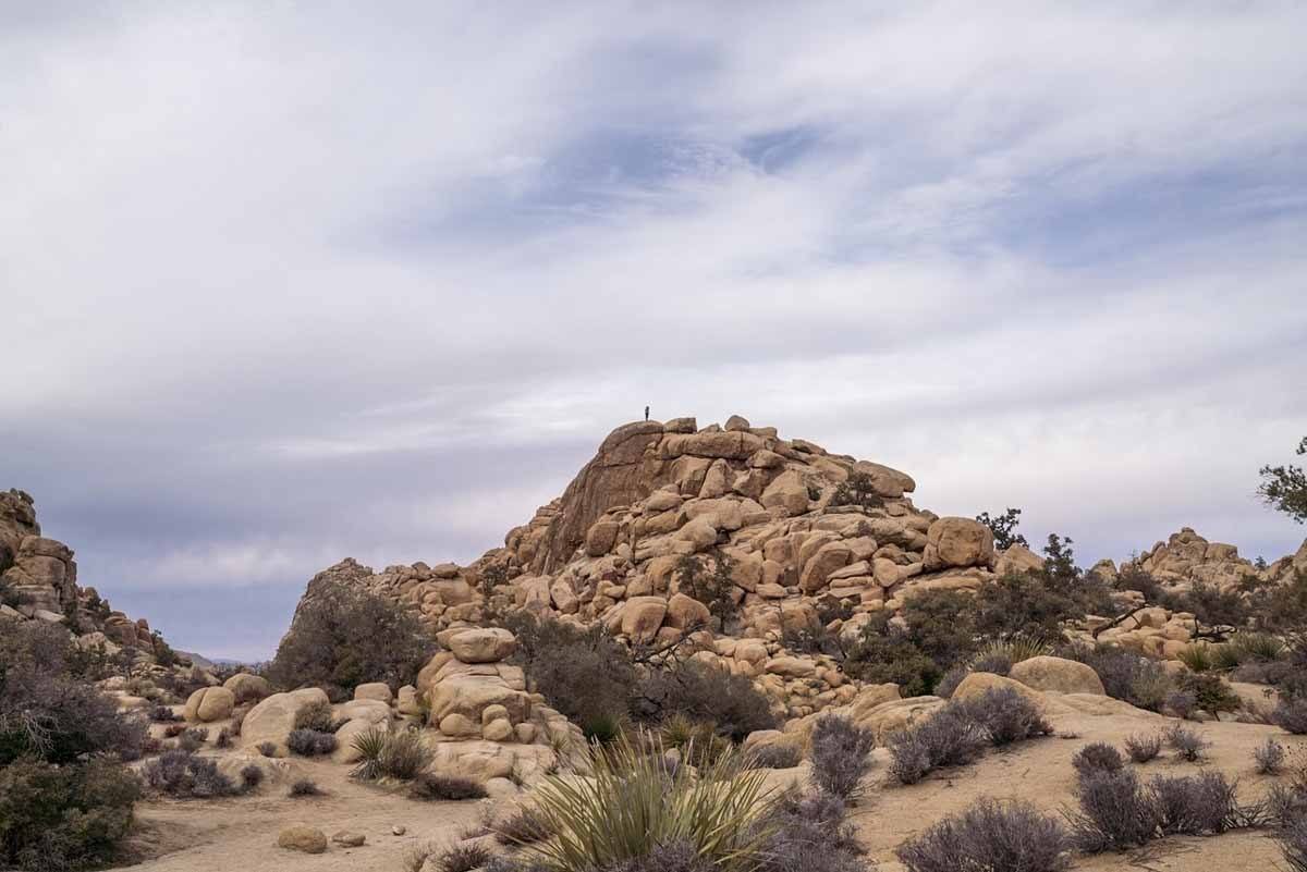 joshua tree boulders