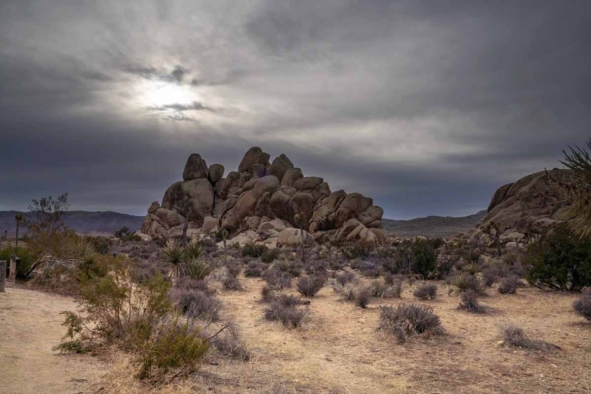 joshua tree stormy sky