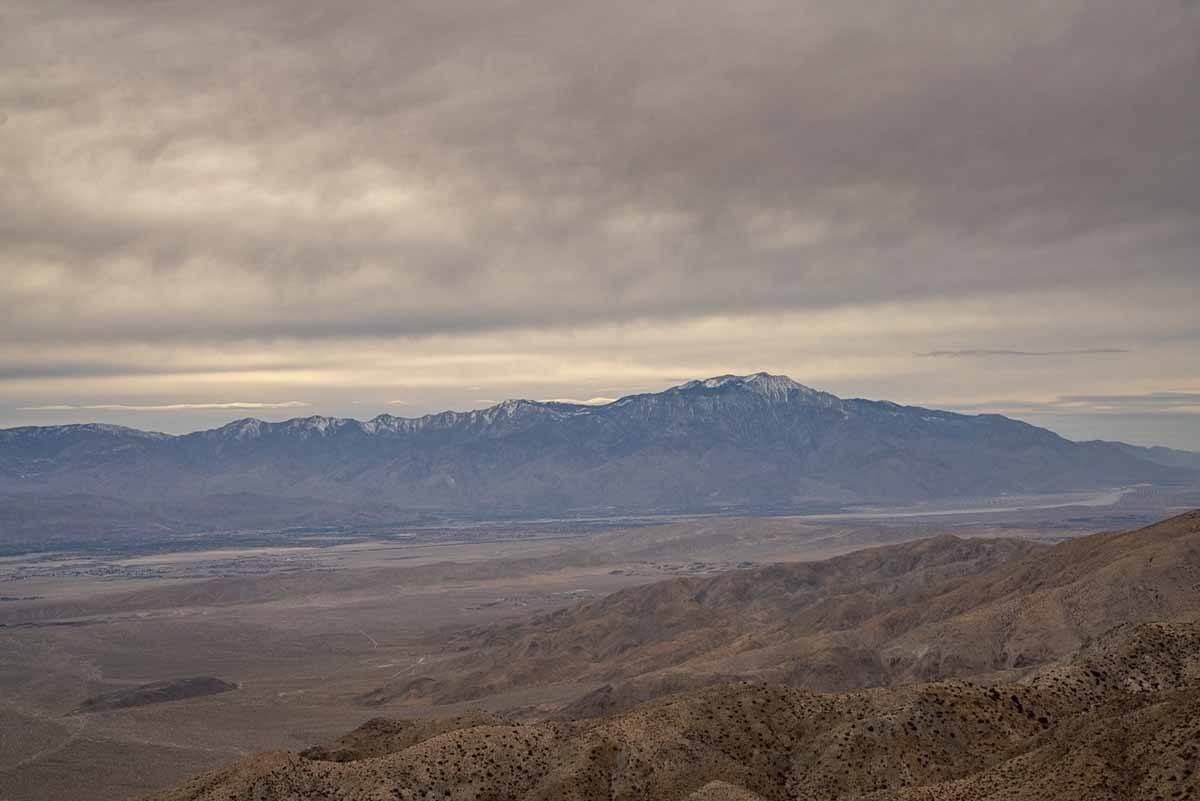 joshua tree view mountains