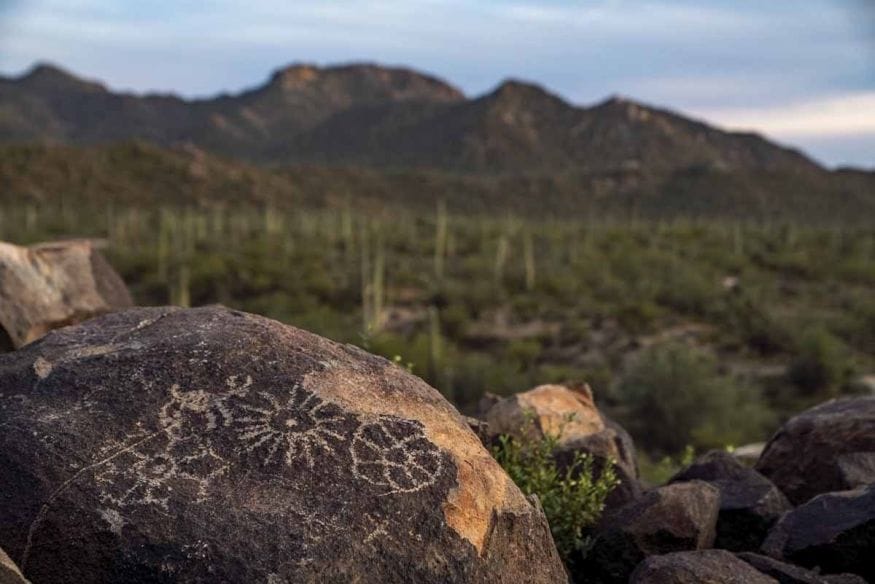 saguaro national park petroglyphs