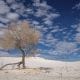 things to do in white sands national park nm