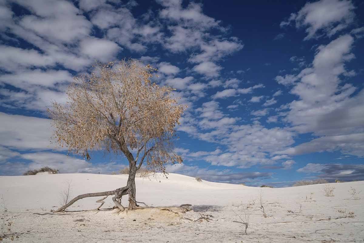 things to do in white sands national park nm