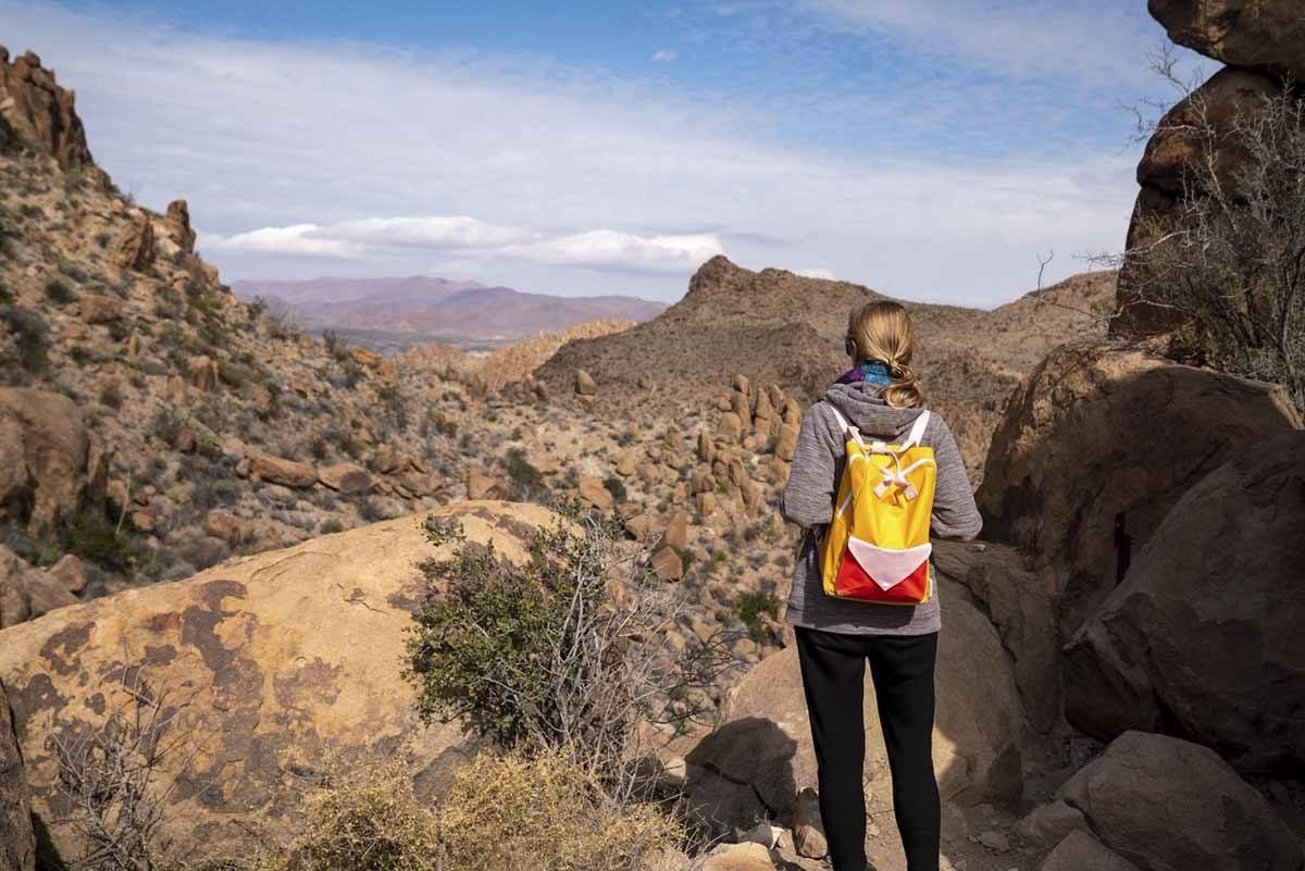 big bend desert views