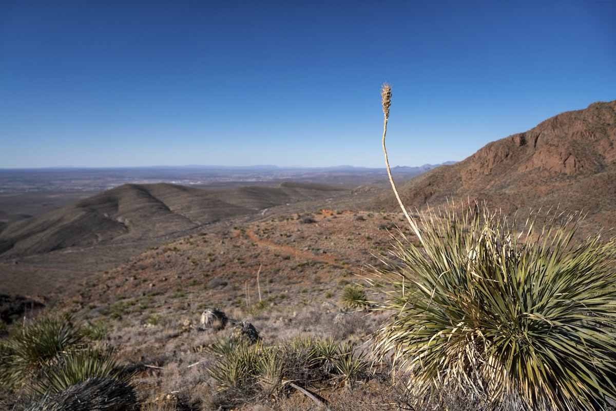 franklin mountains el paso