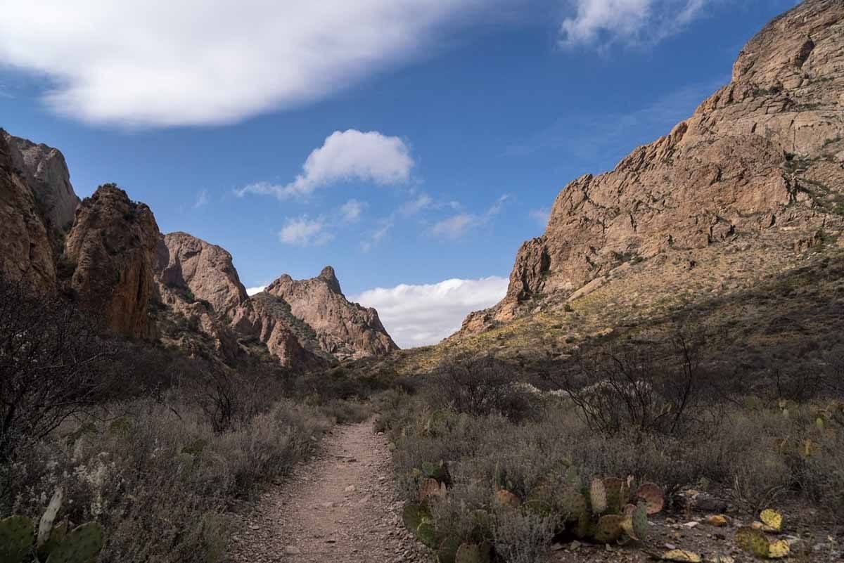 things to do big bend national park