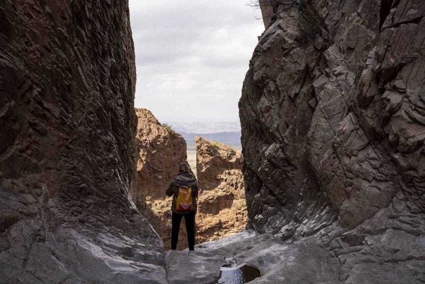 window trail big bend national park