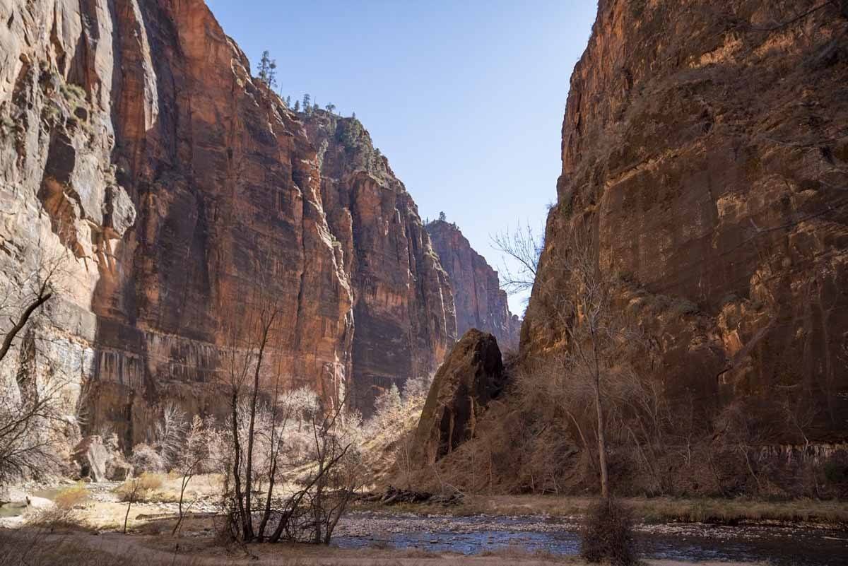 zion national park virgin river